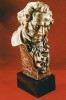 Premios Goya 2010