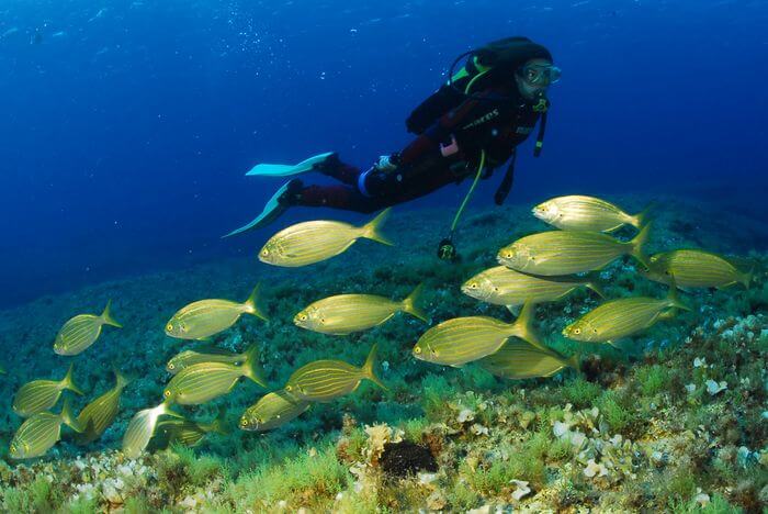 SUBMARINISMO EN FORMENTERA