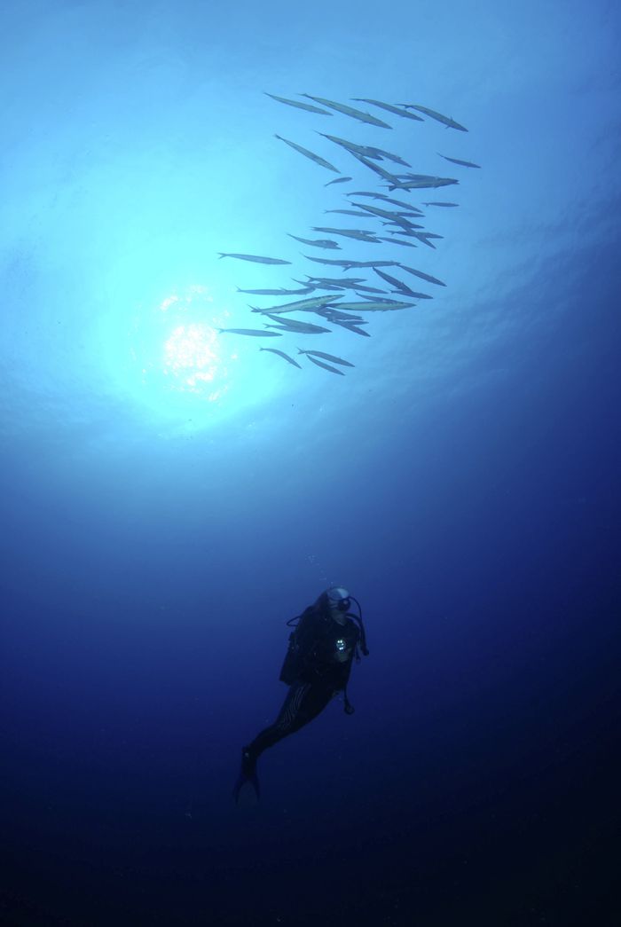 SUBMARINISMO EN FORMENTERA