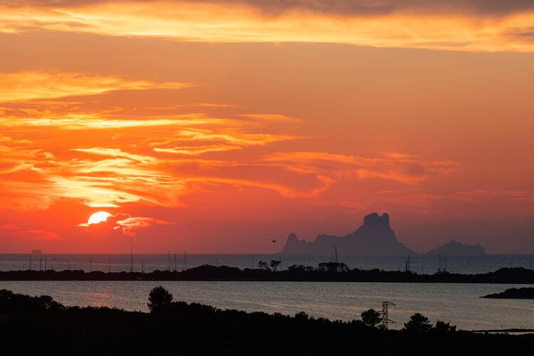 FIVE FLOWERS HOTEL & SPA FORMENTERA FIVE FLOWERS HOTEL & SPA FORMENTERA