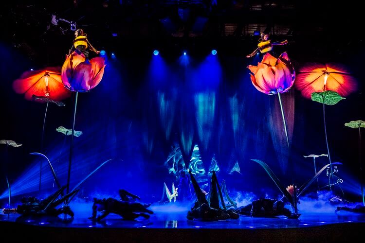 Cirque du Soleil OVO Cirque du Soleil OVO