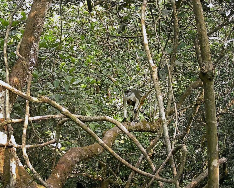 Laureados de los Premios Rolex