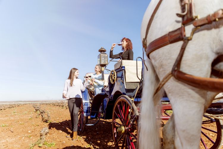 Enoturismo red de pueblos gastronomicos de españa