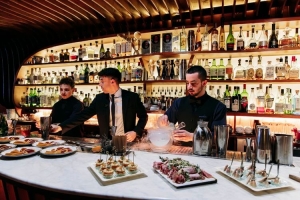 Diploma Profesional de Coctelería y Mixología Hofmann