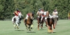 Campeonato de España de Polo bajo hándicap