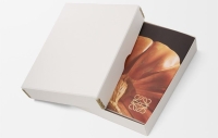 Crafted World Jonathan Anderson&#039;s LOEWE