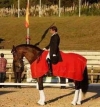 Sergio Martin ganador del GP y el GPS en el CDI 3* de Biarritz