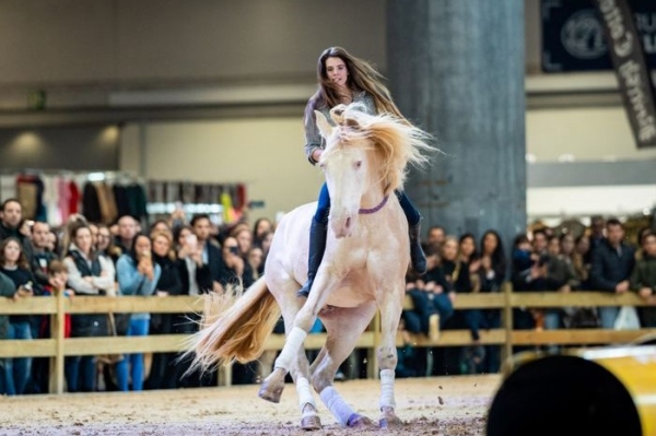 MADRID HORSE WEEK 2022