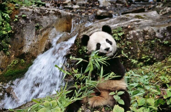 Laureadas de los Premios Rolex