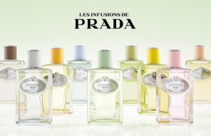 LES INFUSIONS DE PRADA