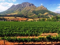 Winestyle Travel, una empresa especializada en organizar viajes y eventos gastronómicos y enológicos