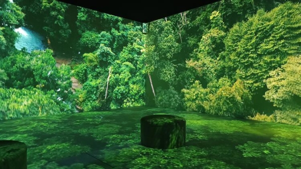 Somos naturaleza, una experiencia audiovisual inmersiva
