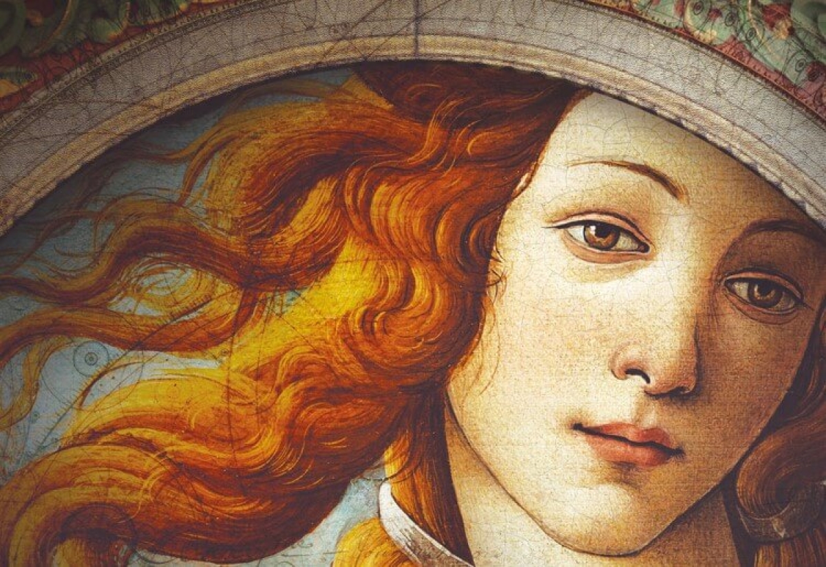 NACIDA DE VENUS, la apasionante novela de Sonia Lleonart