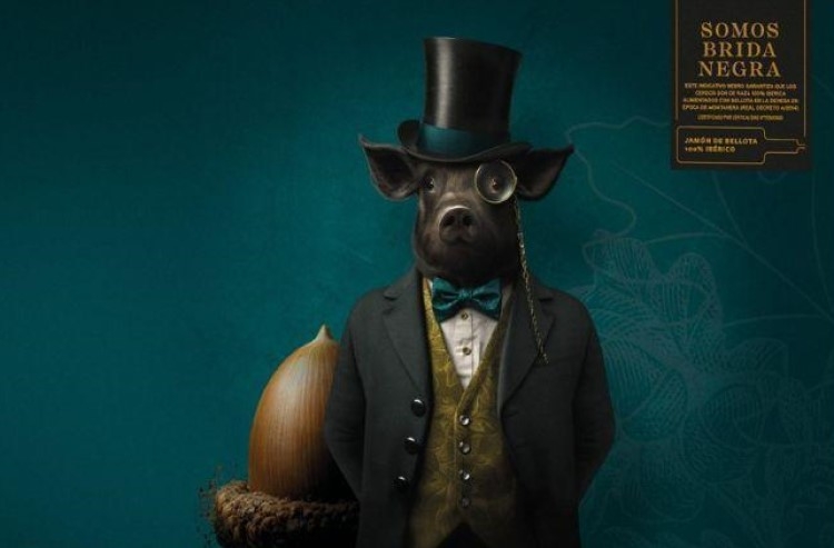 ISÁNCHEZ ROMERO CARVAJAL, el auténtico Jamón de Bellota 100% Ibérico