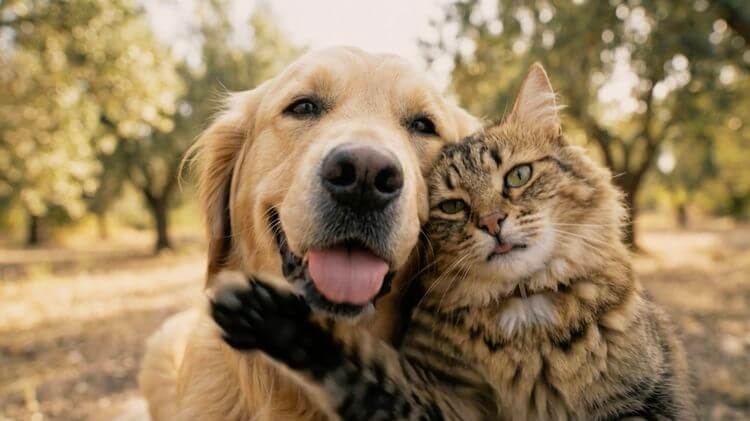 IOwnat convierte un spot de publicidad en un videoclip musical