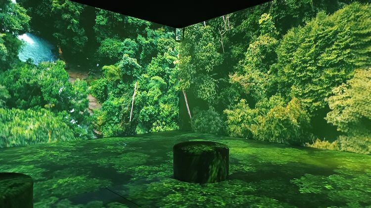 ISomos naturaleza, una experiencia audiovisual inmersiva